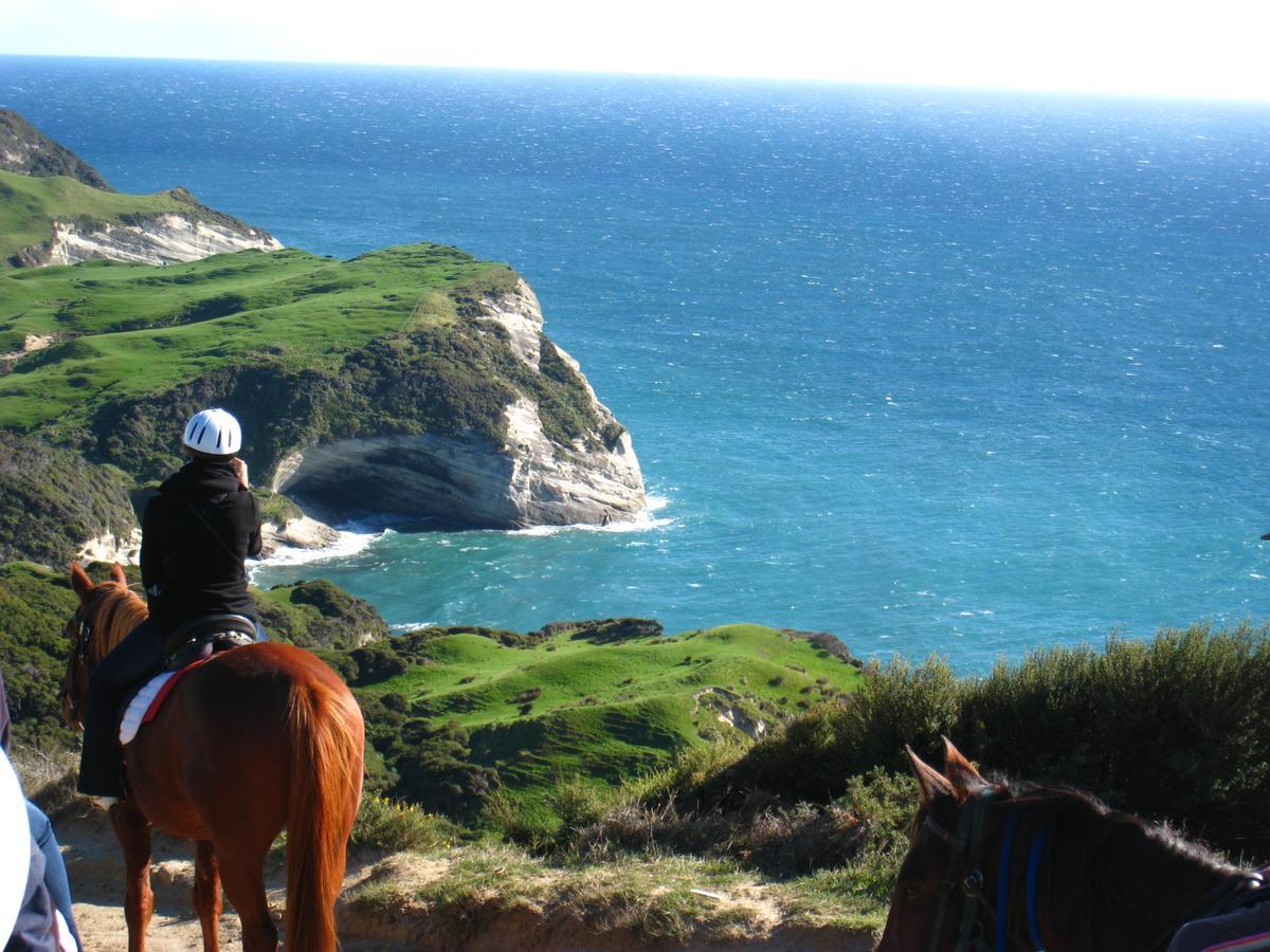 Annies Nirvana Lodge Backpackers Takaka Luaran gambar