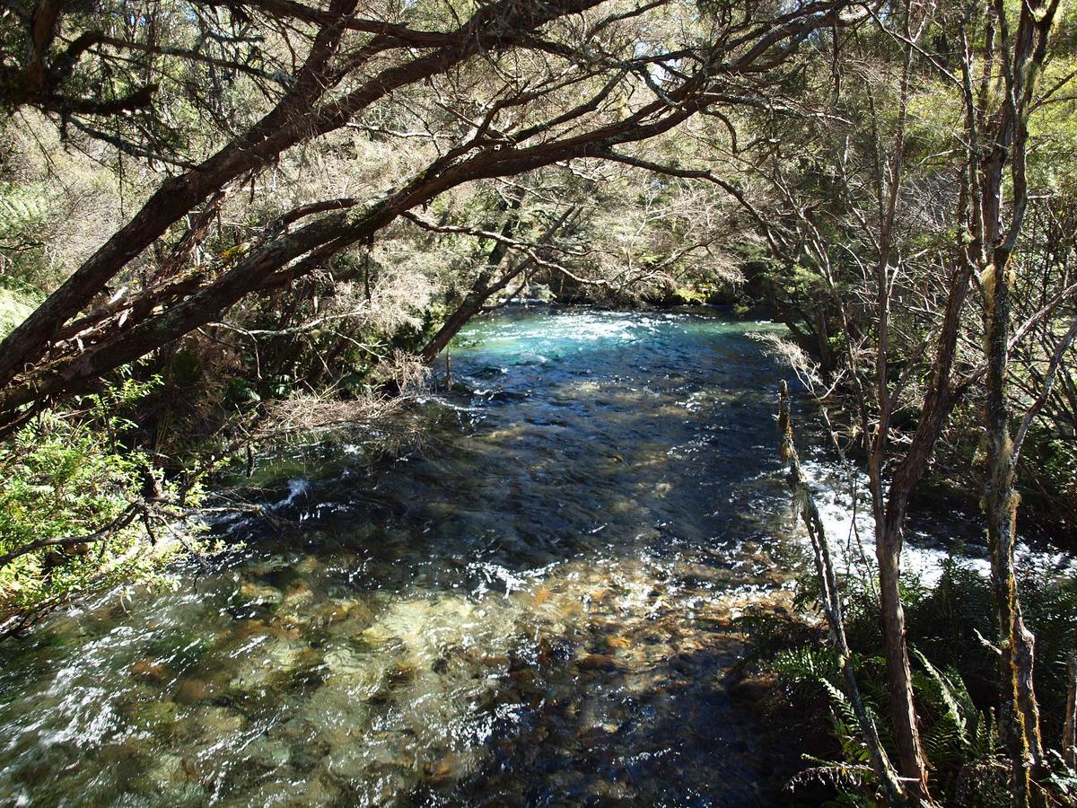 Annies Nirvana Lodge Backpackers Takaka Luaran gambar